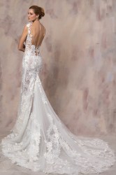 costantino-2017-Dalia-2