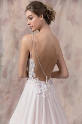 costantino-2017-Rose-2